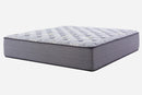 Dream - Mattress (16 Inch)