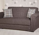 Love Seat Sleeper