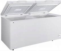 25 CUFT CHEST FREEZER CONSEVATOR, 2 DOORS