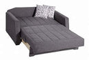 Love Seat Sleeper